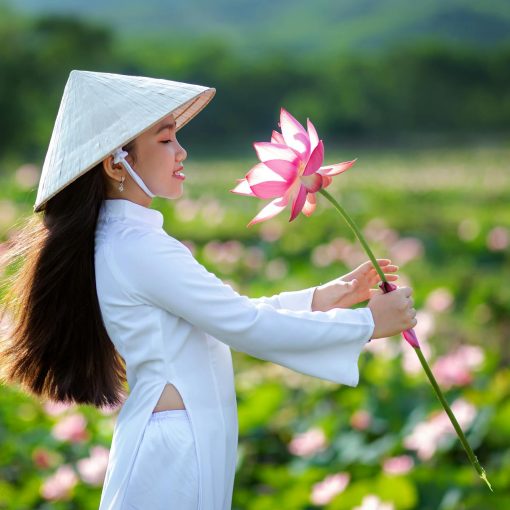 How many ethnic groups are there in Vietnam?